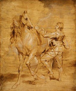 En mann som setter opp en hest, ca. 1630. av Anthony van Dyck