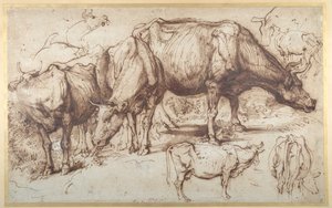 Cattle in Pasture, ca. 1618-20 (penn og blekk med vask på papir) av Anthony van Dyck