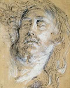 Head of the Dead Christ (kull og kritt på papir) av Anthony van Dyck