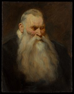 Hodestudie av en gammel mann med hvitt skjegg av Anthony van Dyck