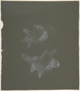 Blomsterdesign