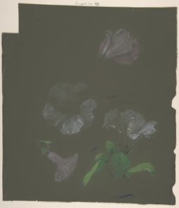 Blomsterdesign av Antoine Berjon
