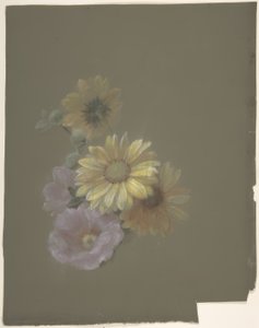 Gule tusenfryd og rosa villrose