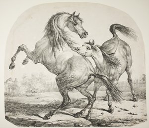 Wild Horses Fighting, ca. 1820 av Antoine Charles Horace Vernet
