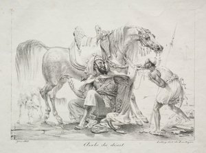 Araber av ørkenen av Antoine Jean Gros