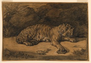 En tiger og en skilpadde av Antoine Louis Barye