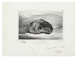studie av katter av Antoine Louis Barye