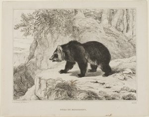 Mississippi bjørn av Antoine Louis Barye