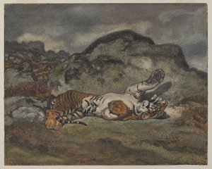Rolling Tiger, ca. 1840 (wc på papir) av Antoine Louis Barye