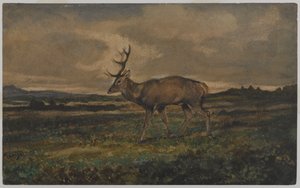 Stag Walking (wc på papir) av Antoine Louis Barye