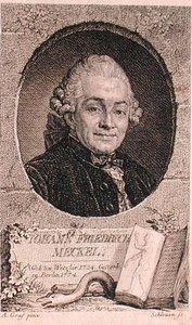 Portrett av Johann Friedrich Meckel (1724-76) gravert av John Schleuen (fl.1740-74) (gravering) av Anton (after) Graff