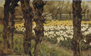 Tulipanmarker av Anton L. Koster