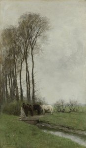 Hester ved gjerdet av Anton Mauve