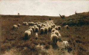 Flokkens tilbakekomst, Laren av Anton Mauve