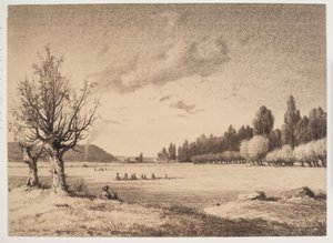 Åpent landskap med en skog i det fjerne. burgunder