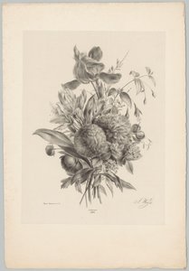 Nelliker og liljer Flower and Fruit Studies (...) 10. episode (serietittel) av Anton Weiss