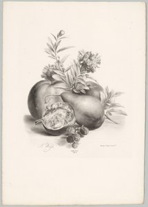 Blomster, epler, pære, granateple og bjørnebær Flower and Fruit Studies (...) 10. episode (serietittel)