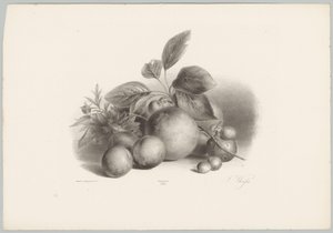 Blomster, nektariner og hasselnøtter Flower and Fruit Studies (...) 10. episode (serietittel) av Anton Weiss