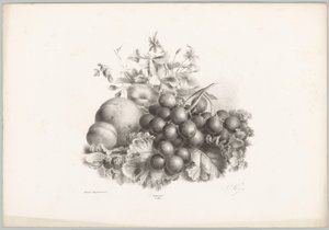 Blomster, fersken, nektarin, druer og bjørnebær Flower and Fruit Studies (...) 10. episode (serietittel) av Anton Weiss