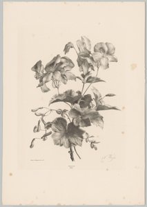Diverse bloemen Bloem en Fruit Studien (...) 10e aflevering (series title)   1373560   no       norwegian Successfully Translated  Original: Jito Tenno (Workers Dyeing Cloth), from Hyakunin Isshu ubaga Etoki (The Hundred Poems Explained by the Nurse) Trans av Anton Weiss