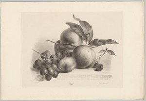 Druer, plommer, fersken og kirsebær Flower and Fruit Studies (...) 10. episode (serietittel) av Anton Weiss