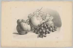 Gresskar, bær, druer og fersken Flower and Fruit Studies (...) 3. episode (serietittel)