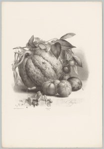 Gresskar, tomater og kirsebær Flower and Fruit Studies (...) 10. episode (serietittel) av Anton Weiss