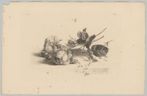 Rozen Bloem en Fruit Studien (...) 3. episode (serietittel) av Anton Weiss