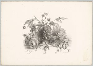 Roser, georginer og fuchsia Flower and Fruit Studies (...) 10. episode (serietittel)
