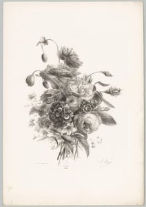 Roser og andre blomster Flower and Fruit Studies (...) 10. episode (serietittel) av Anton Weiss