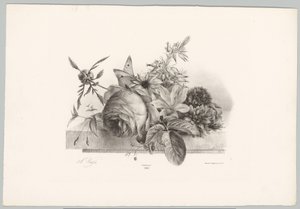 Roser, liljer, klokkeformede blomster og sommerfugl Flower and Fruit Studies (...) 10. episode (serietittel) av Anton Weiss