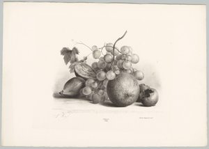 Fiken, druer og appelsin Flower and Fruit Studies (...) 10. episode (serietittel) av Anton Weiss