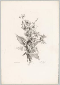 Stemorsblomst og hyasint og klokkeformede blomster Flower and Fruit Studies (...) 10. episode (serietittel)