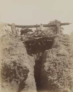 Sehaquieh, Egypt av Antonio Beato