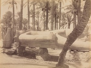 Statue av Ramesses ved Saqqara av Antonio Beato