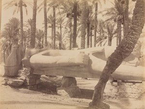 Statue av Ramesses ved Saqqara, ca. 1870-1880-årene. av Antonio Beato