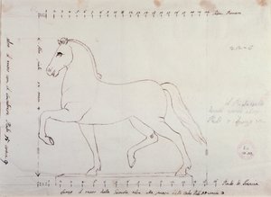Studie for en hest for et ridemonument (tegning av Antonio Canova