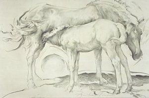 Horses at Coolmore, 1990 (kull på papir)