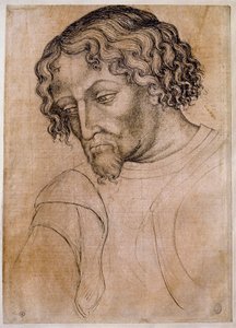 Byste av skjeggete mann, trekvart hode bøyd til venstre. Tegning av verkstedet Antonio di Puccio Pisano dit Pisanello (1395-1455). Fjær (tegning), blod. Mål: 28x20cm. Louvre, tegnefirma av Antonio Pisanello