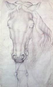 Hodet på en hest av Antonio Pisanello