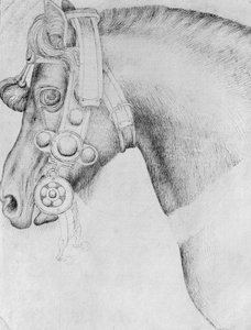 Hodet til en hest, fra The Vallardi Album av Antonio Pisanello