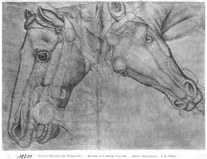 Hoder av hester, fra The Vallardi Album av Antonio Pisanello