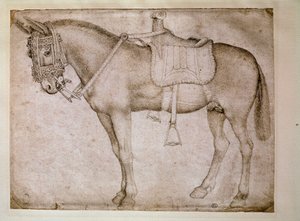 Mulesele. Tegning av Antonio Pisano dit il Pisanello (1380-1455) av Antonio Pisanello