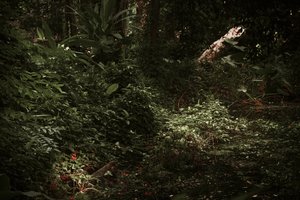 Lys og skygger, 2025 (digital fotografering) av Antonio Schubert