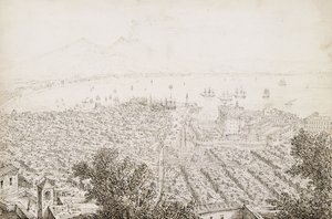 En panoramautsikt over Napoli av Antonio Senape