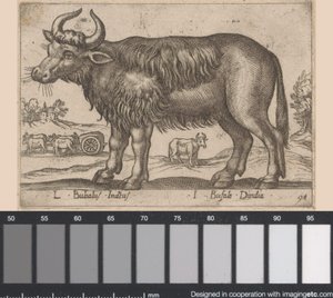 bøffel L Bubalus Indicus/ I Bufola Dindia (tittel på objekt) Dieren en fablewezens (serietittel) Ny samling av verdens mest nysgjerrige dyr (serietittel) av Antonio Tempesta