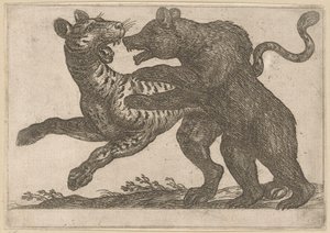 En bjørn som kjemper mot en tiger Kampdyr (serietittel) av Antonio Tempesta