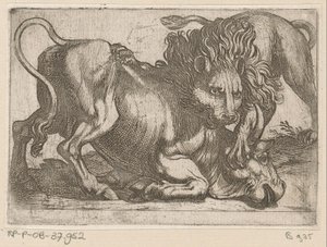 En løve angriper en okse Kampdyr (serietittel) av Antonio Tempesta