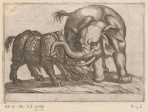 Et neshorn kjemper mot en elefant Kampdyr (serietittel) av Antonio Tempesta