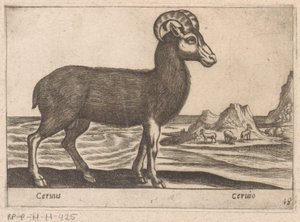 Edelstener Cerinis / Ceruio (tittel på objekt) Dieren en fabelwezens (serietittel) Nova-samling av de mest nysgjerrige dyrene i verden (serietittel) av Antonio Tempesta